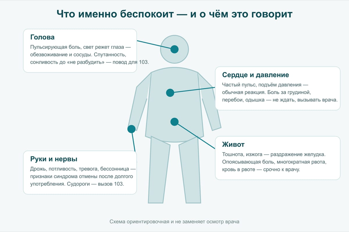 Схема: где что болит после алкоголя — голова, сердце, живот, руки