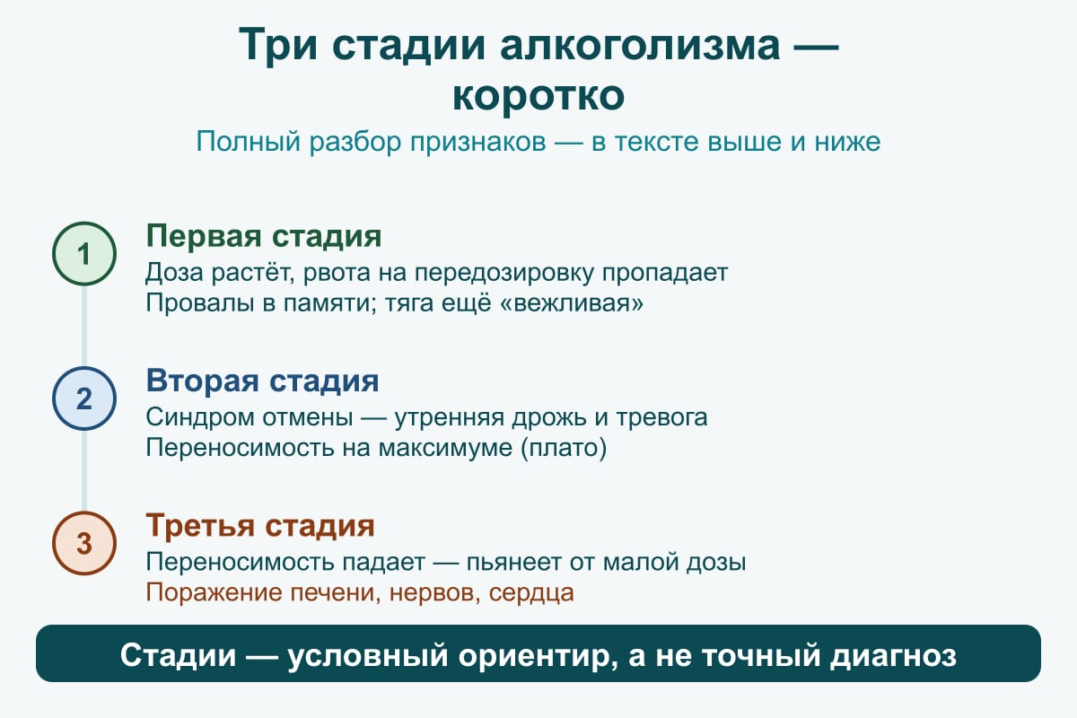 Схема: три стадии алкоголизма коротко. Первая — доза растёт, рвотная реакция пропадает, провалы в памяти, внешне жизнь сохранна. Вторая — синдром отмены: утренняя дрожь и тревога, переносимость на максимуме. Третья — переносимость падает, пьянеет от малой дозы, поражение печени, нервов, сердца